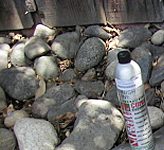 Citrus Based Chain Cleaner