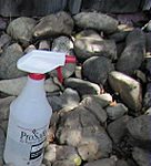 Spray Bottle